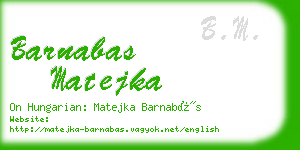 barnabas matejka business card